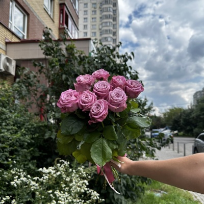 Роза Сиреневая 40 см 9 шт.