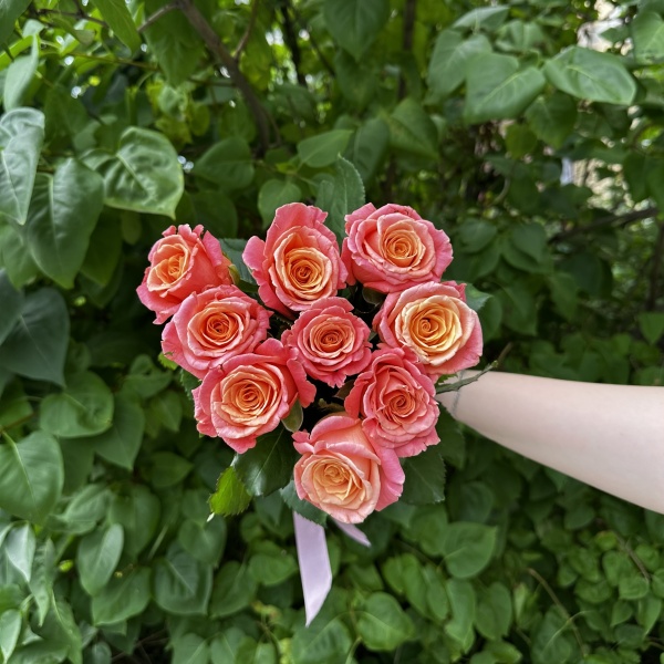 Роза Кремово‑персиковая 40 см 9 шт. 