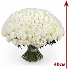 Белая Роза 40 см